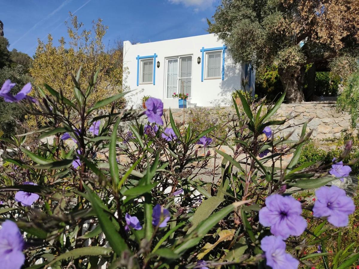 Hotel Mavi Kelebek Datça Exteriér fotografie