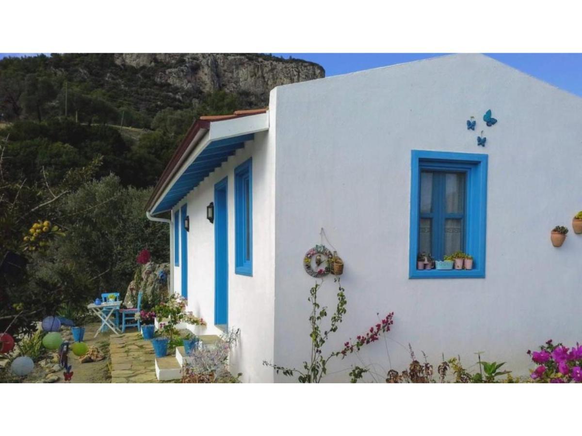 Hotel Mavi Kelebek Datça Exteriér fotografie