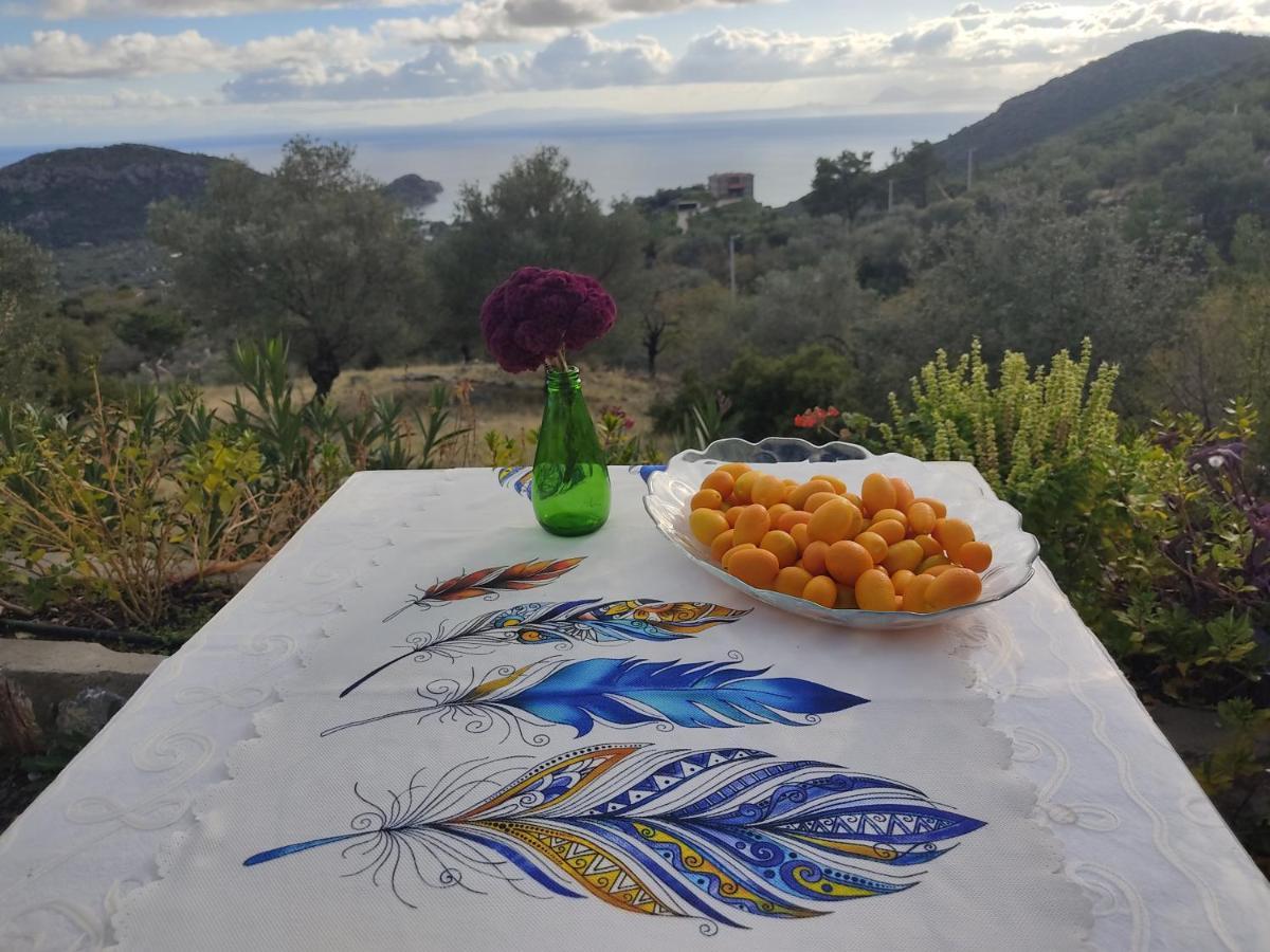 Hotel Mavi Kelebek Datça Exteriér fotografie