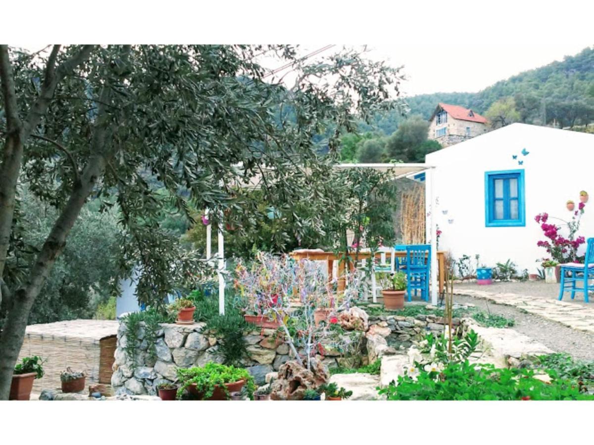 Hotel Mavi Kelebek Datça Exteriér fotografie