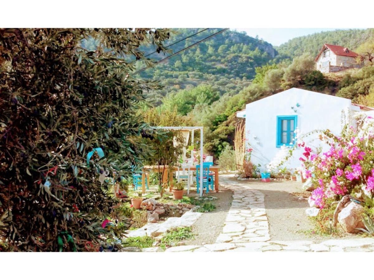 Hotel Mavi Kelebek Datça Exteriér fotografie