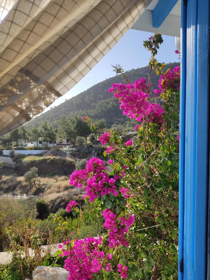Hotel Mavi Kelebek Datça Exteriér fotografie